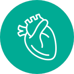 cardiologist