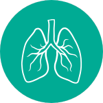 pulmonary